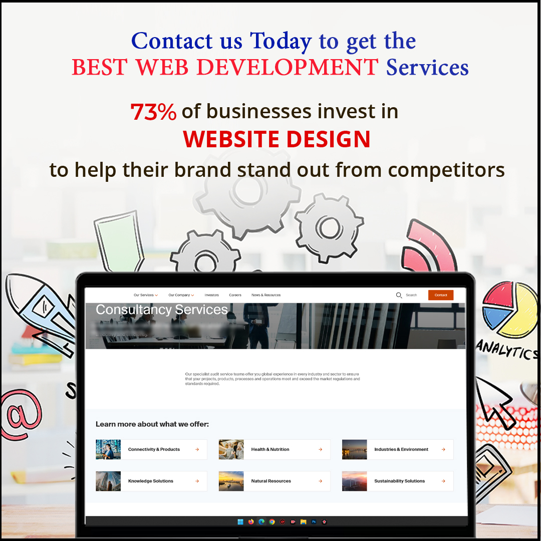 Consultancy Website Design in Udaipur